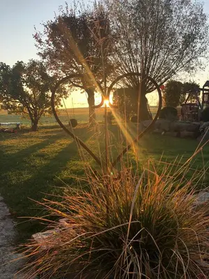 Blick auf den Sonnenuntergang/Sonnenaufgang von der Ferienwohnung aus oder aus der Nähe