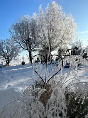Ferienwohnung Thiergarten im Winter