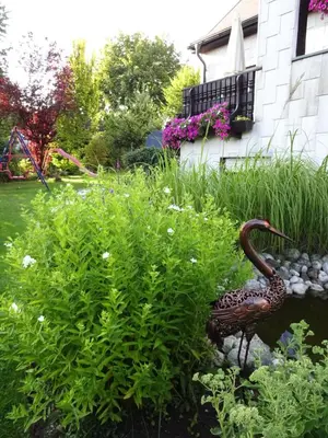 Ein Garten an der Unterkunft Haus Seeliger im Fichtelgebirge