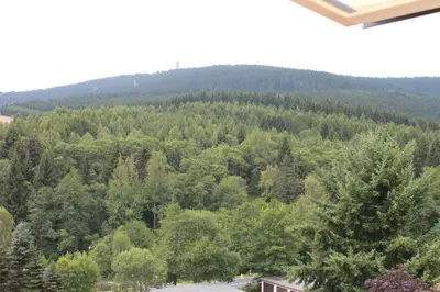 Grundriss der Unterkunft Ferienwohnung Storch