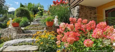 Ein Garten an der Unterkunft Landhaus Simon