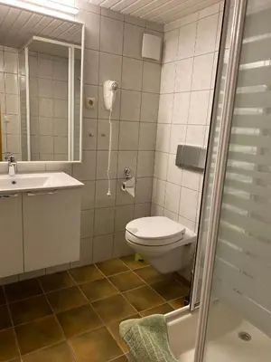 Ein Badezimmer in der Unterkunft Ferienwohnungen Elsterblick Bad Elster