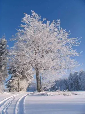 Ferienwohnung Familie Becher Klingenthal Aschberg im Winter