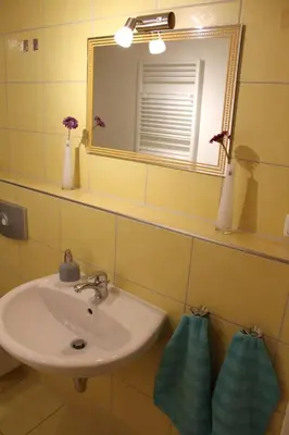 Ein Badezimmer in der Unterkunft Ferienwohnung Familie Becher Klingenthal Aschberg