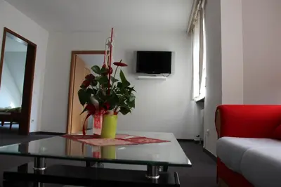 TV/Unterhaltungsangebot in der Unterkunft Gasthof Gruner Baum