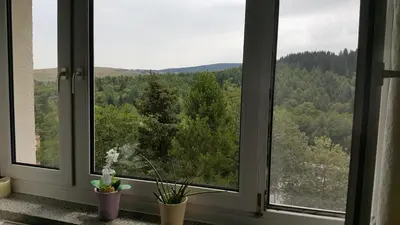 Naturlandschaft in der Nähe der Ferienwohnung