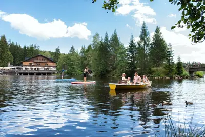 Naturlandschaft in der Nähe der Ferienwohnung