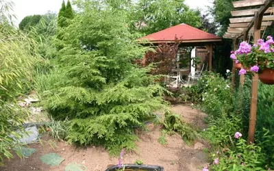 Ein Garten an der Unterkunft Pension Haus zum Schlehenberg
