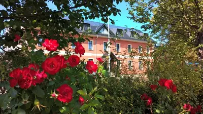Ein Garten an der Unterkunft Ehem. Sächsisch-Bayrischer Hof