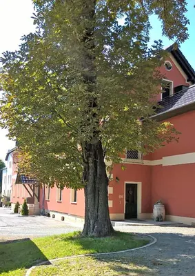 Das Gebäude in dem sich die Pension befindet