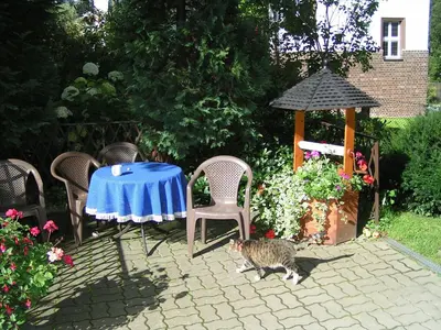Ein Garten an der Unterkunft Pension & Ferienwohnung 