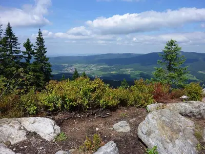 Naturlandschaft in der Nähe des Ferienhauses