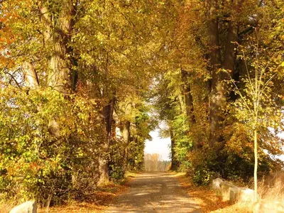 Naturlandschaft in der Nähe des Ferienhauses