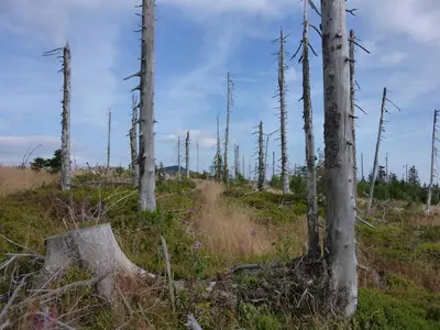 Naturlandschaft in der Nähe des Ferienhauses