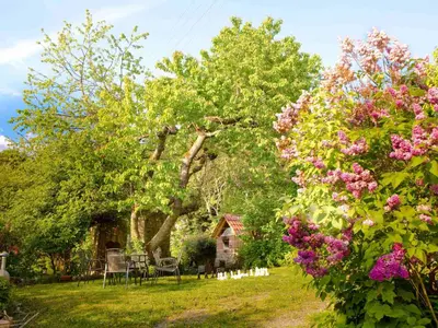 Ein Garten an der Unterkunft Schlossberghof