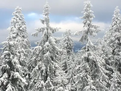 Ferienwohnung Pedall im Winter