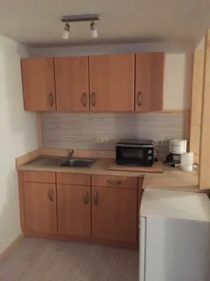 Küche/Küchenzeile in der Unterkunft Springer-Apartment-1215