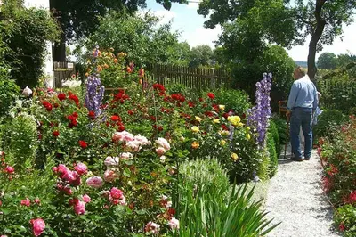 Ein Garten an der Unterkunft Landhausgarten Bunzmann