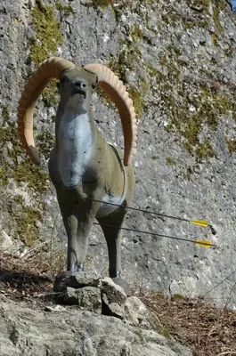 Tiere im Hotel oder in der Nähe