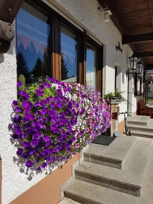 Ein Garten an der Unterkunft Pension und Gasthof Reithmeier