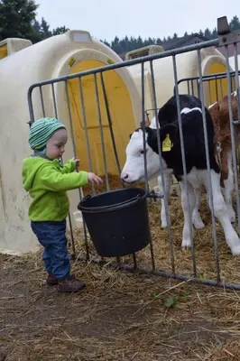 Kinder, die in der Unterkunft Ferienhof Schricker übernachten