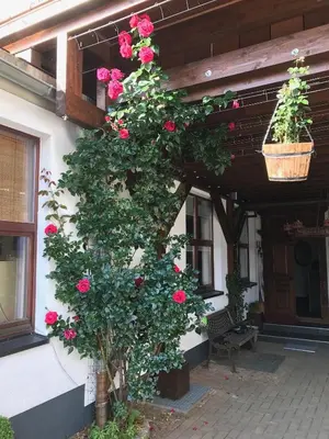 Ein Garten an der Unterkunft Wieko Ferienwohnungen