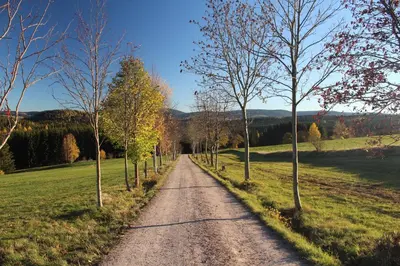 Naturlandschaft in der Nähe der Ferienwohnung