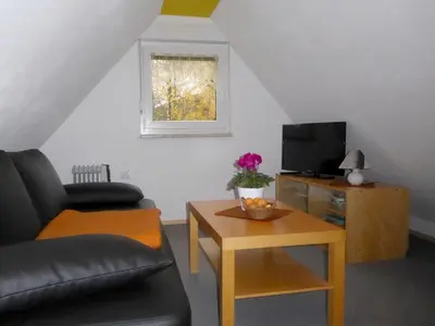TV/Unterhaltungsangebot in der Unterkunft Ferienhaus Uda