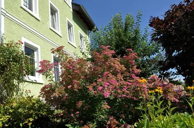Ein Garten an der Unterkunft Landhaus Bruckner