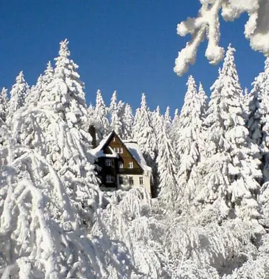 Pension und Gaststätte Naturbaude Eschenhof im Winter