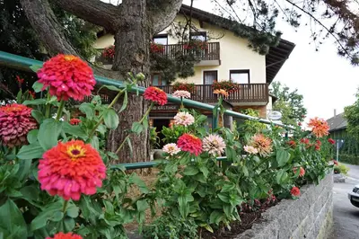 Ein Garten an der Unterkunft Hotel-Landgasthof Henghuber