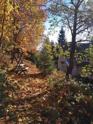 Ein Garten an der Unterkunft Greizer Kammhütte Gaststätte & Pension