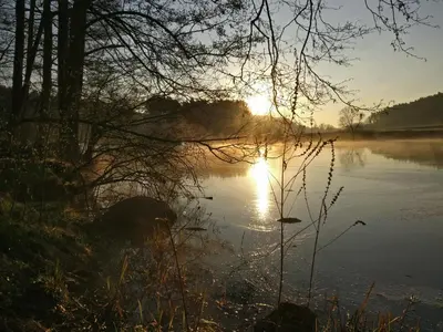 Naturlandschaft in der Nähe der Ferienwohnung