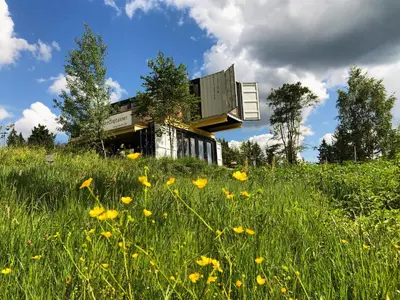 Ein Garten an der Unterkunft BERGHEIM Container Loft