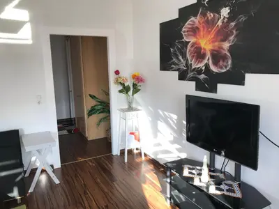 TV/Unterhaltungsangebot in der Unterkunft Apartment Juna
