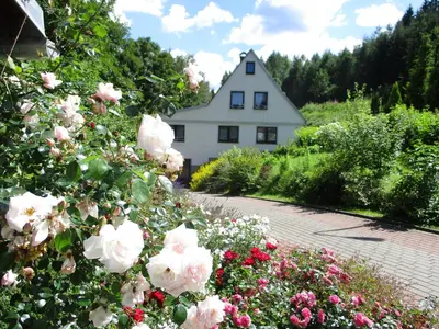 Ein Garten an der Unterkunft Ferienwohnung 
