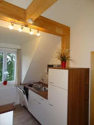 Küche/Küchenzeile in der Unterkunft Appartements im Hollandhaus