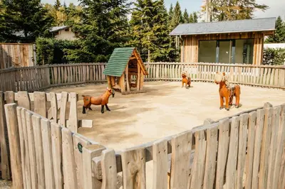 Tiere im Hotel oder in der Nähe