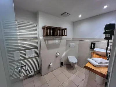 Ein Badezimmer in der Unterkunft Alpina Lodge Hotel Oberwiesenthal