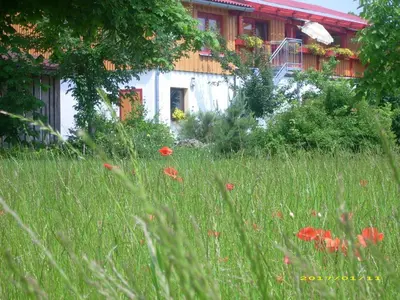 Ein Garten an der Unterkunft Ferienhof Gold