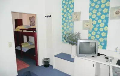 TV/Unterhaltungsangebot in der Unterkunft Nice Home In Auerbach With Wifi