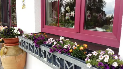 Ein Garten an der Unterkunft B & B Gästehaus Schmidt