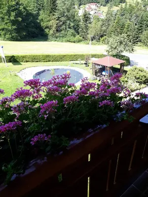 Ein Garten an der Unterkunft Pension Brix