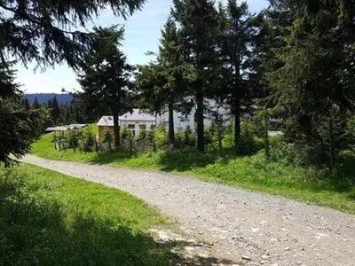 Naturlandschaft in der Nähe der Pension