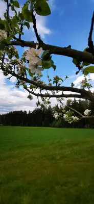 Naturlandschaft in der Nähe der Ferienwohnung