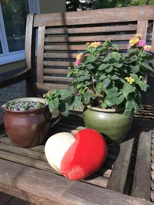 Ein Garten an der Unterkunft Apartment Apart Waldershof