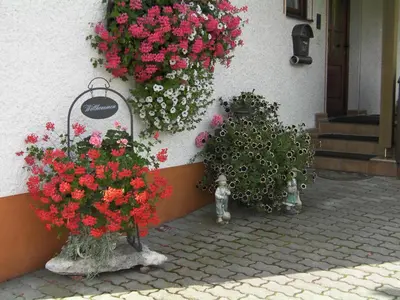 Ein Garten an der Unterkunft Haus Sonnenschein