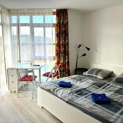 Ferienwohnung 