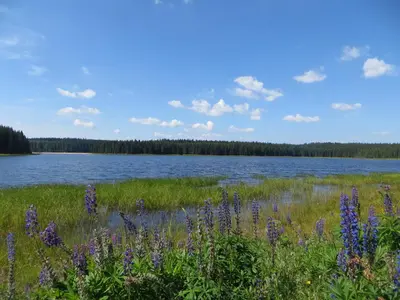 Naturlandschaft in der Nähe der Pension