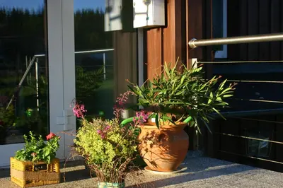 Ein Garten an der Unterkunft Pension & FeWo's Talblick